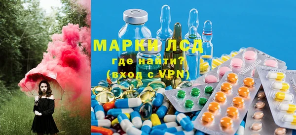 крисы Алзамай
