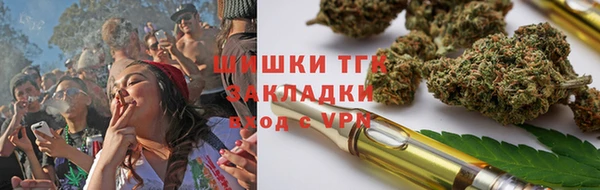 крисы Алзамай
