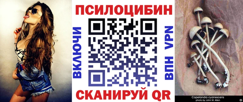 Псилоцибиновые грибы Cubensis  Бронницы 
